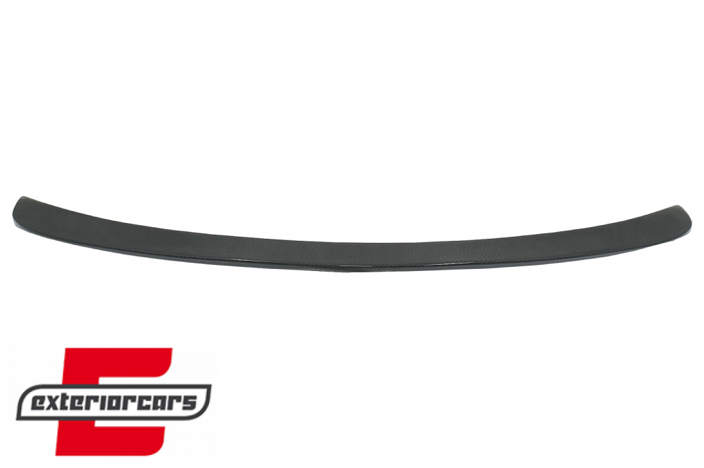 Lip bunkera (carbon) - Slika 2