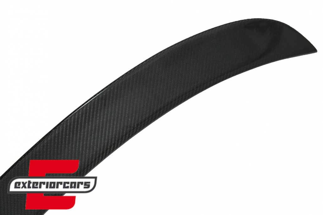 Lip bunkera (carbon) - Slika 4