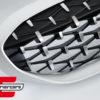 Prednja maska Diamond dizajn (srebrna) / BMW serije 3 G20 limuzina G21 karavan (2019-06.2022) - Slika 2